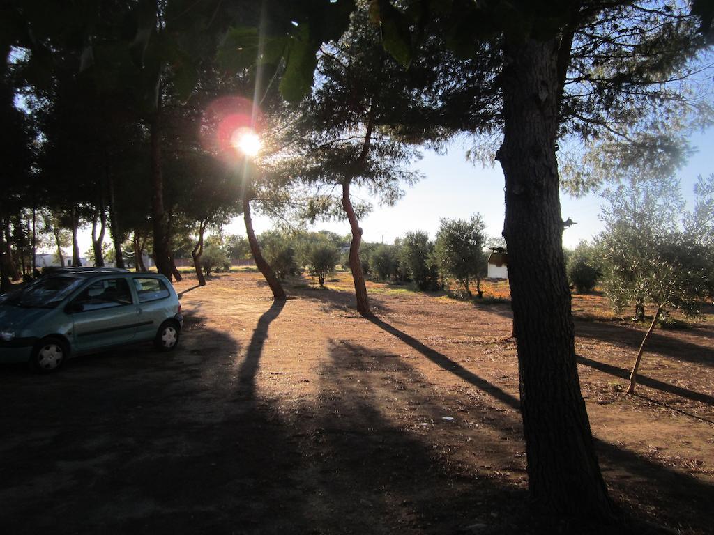 Apartamentos Rurales Las Caleras Almagro Rum bild