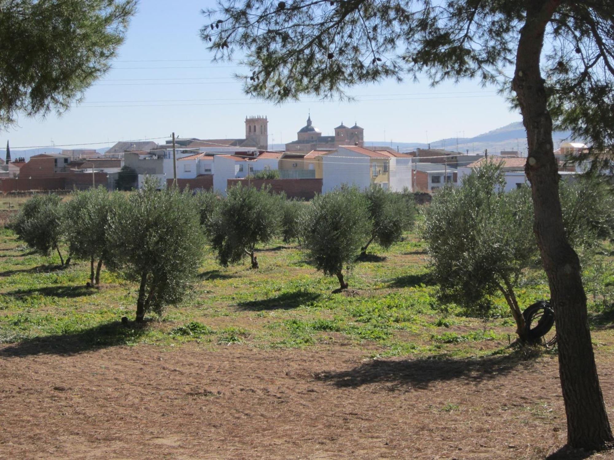 Apartamentos Rurales Las Caleras Almagro Exteriör bild